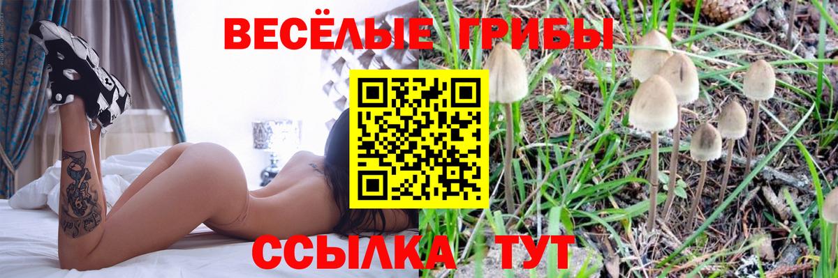 Псилоцибиновые грибы GOLDEN TEACHER  Вход с VPN  Павлово 